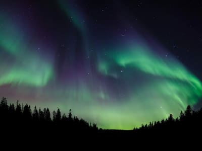 Chasse aux aurores boréales depuis Nallikari à Oulu