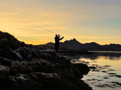 Hooked & Cooked Fishing and Culinary Nature Experience around Vågan, in Lofoten