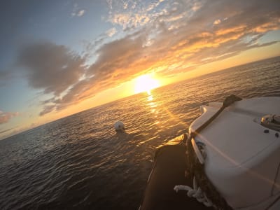Sunset Snorkelling Excursion at L'Étang-Salé, Reunion Island