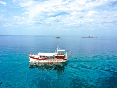 Dolphin Watching Tour departing from Poreč