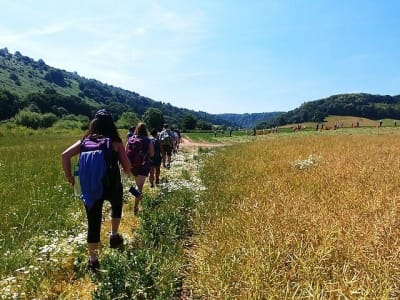 Excursión privada de un día por el valle de Wye del Rey Arturo, cerca de Cardiff
