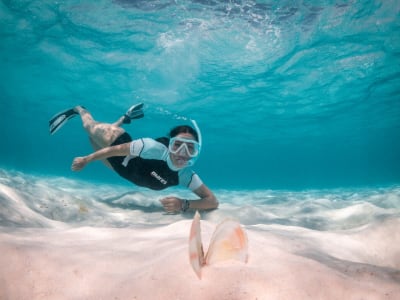 Excursion guidée de snorkeling dans la réserve marine d'El Toro, Majorque
