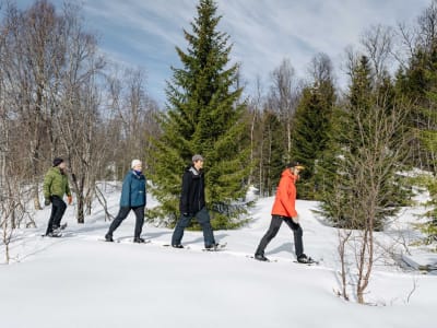 Excursión con raquetas de nieve desde Tromsø 