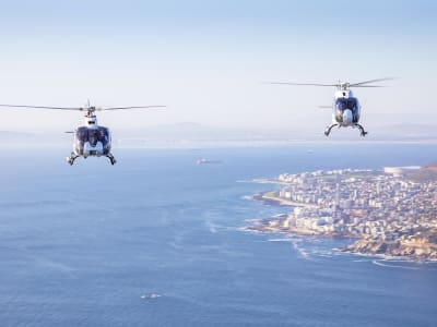 Excursión panorámica en helicóptero sobre la península del Cabo, desde Ciudad del Cabo 