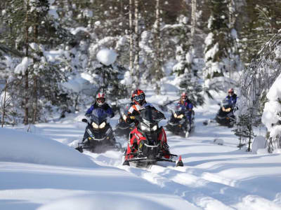Excursion d'une journée en motoneige en Laponie finlandaise au départ de Rovaniemi