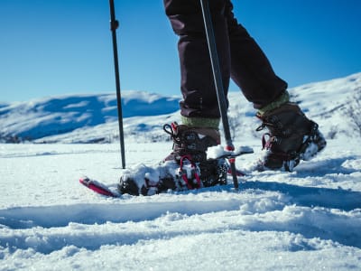 Snowshoe Excursion in Hardanger from Tyssedal