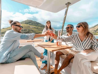 Visita guiada y paseo en barco por el valle del Duero, desde Oporto