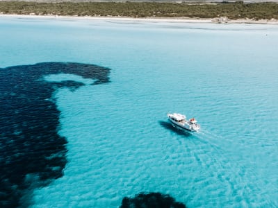 Excursión en barco a la playa de Es Trenc desde la Colònia de Sant Jordi, Mallorca