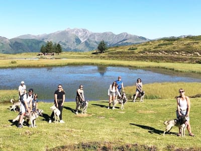 Canicross con un husky en Val d'Azun, Cauterets