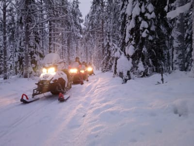 Snowmobile Forest Adventure on the Bothnian Bay from Kemi