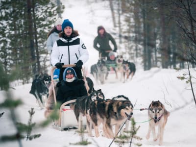 Excursión en Trineo de perros en coche cerca del lago Inari desde Saariselkä