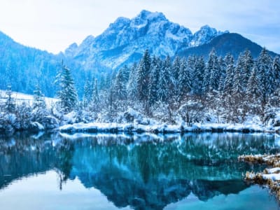 Excursión invernal al Parque Nacional de Triglav con almuerzo desde Bled
