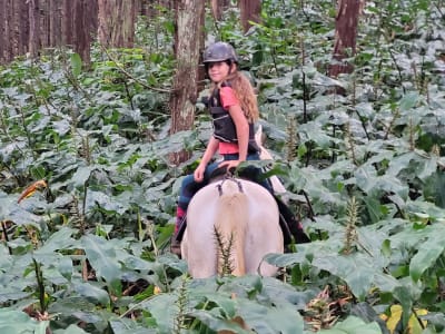 Intermediate Horseback Riding on the Piton Maïdo, Reunion Island