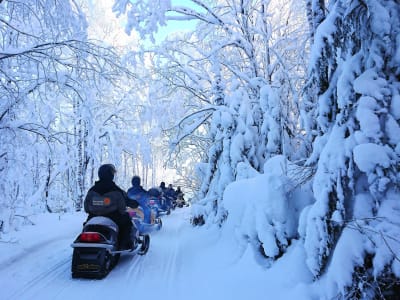 Excursión guiada en Moto de nieve desde Kuusa, cerca de Laukaa