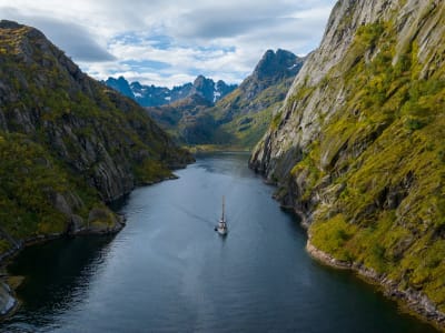 Fjord Cruise to Trollfjord in Lofoten from Svolvær
