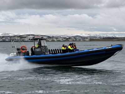 Excursion en bateau semi-rigide le long de la côte de Reykjavik au départ de Kópavogur