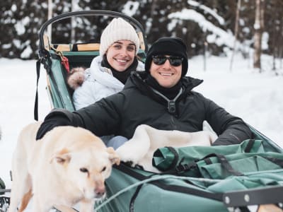 Excursion privée en traîneau à chiens sur la piste Yukon Quest à Fairbanks, Alaska