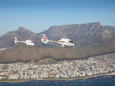 Tour en hélicoptère des deux océans au-dessus du Cap