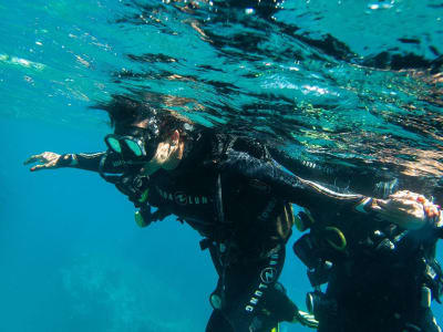 Guided Adventure Scuba Dives around Machico, Madeira