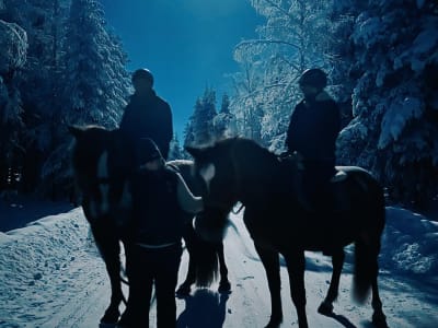 Abendlicher Ausritt in der Nähe des Weihnachtsmanndorfes in Rovaniemi