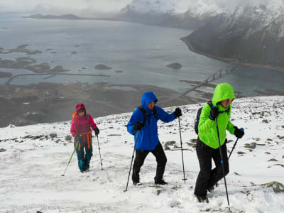 Snowshoe Hike in Vågan near Svolvær, Lofoten