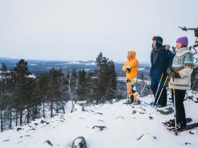Schneeschuh-Trekking-Ausflug von Pyhäjärvi
