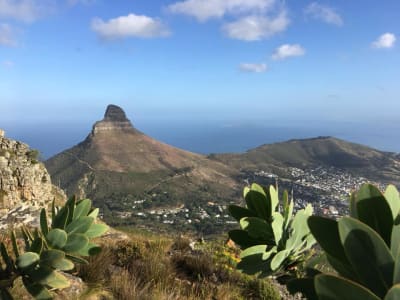 Guided private hiking tour up Lion’s Head, Cape Town