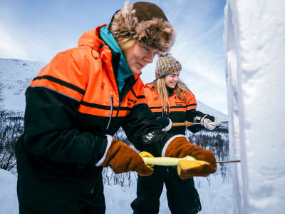 Sculpture sur neige, visite du parc des dômes de glace de Tromsø et découverte de la nature sauvage depuis Tromsø