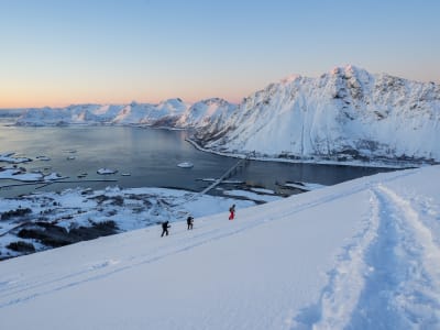 Schneeschuhwanderung in Vågan bei Svolvær, Lofoten
