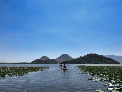 Kayaking tour to Kamenik Island on Skadar Lake from Vranjina