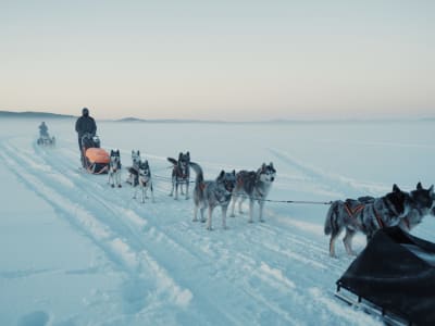 Nuit en chiens de traîneau autour de Hoting dans le Jämtland, près de Strömsund