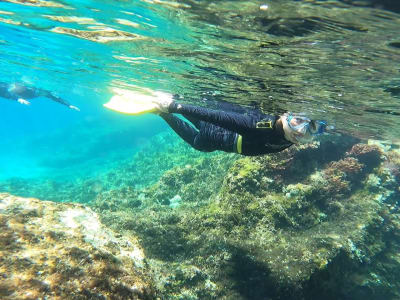 Guided Snorkelling Excursion in Nea Makri on the East of Athens