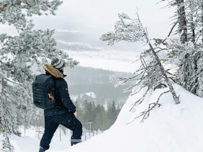 Excursión guiada con raquetas de nieve desde Rovaniemi 