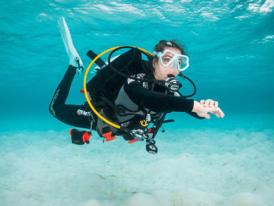 Discover Scuba Diving from the Shore in Funchal, Madeira