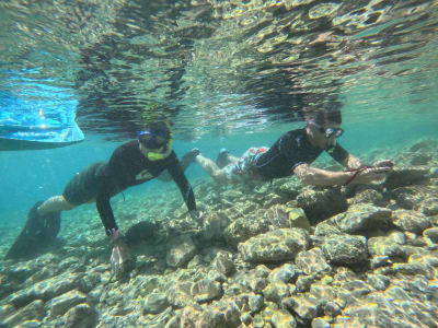 Excursion guidée de snorkeling sur la Riviera d'Athènes au départ d'Athènes