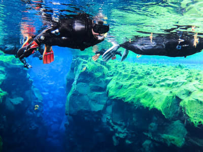 Snorkeling dans la faille de Silfra au Parc National de Þingvellir, près de Reykjavík