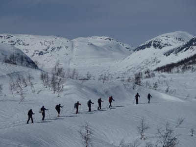 Discover Cross-country Skiing in Voss