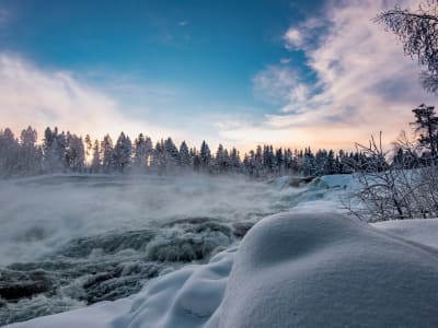 Visita guiada a la Reserva Natural de Storforsen desde Luleå