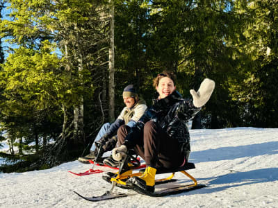 Guided Sledging Tour in Estenstadmarka, Trondheim