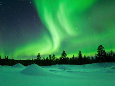 Private Northern Lights Hunt from Luleå in Swedish Lapland