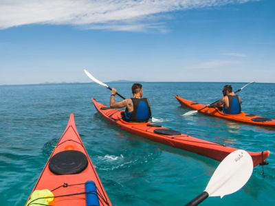 Excursión guiada en kayak en Porto Torres, Cerdeña