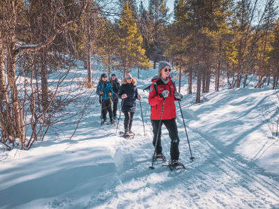 Snowshoeing to Frozen Orvvosfossen Waterfall in Alta