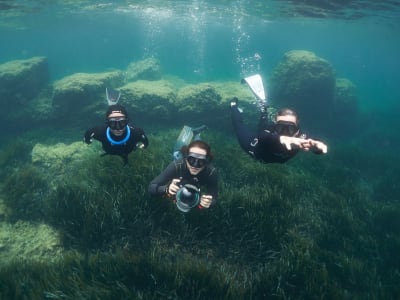 Excursión de snorkel en Saint-Cyr-sur-Mer