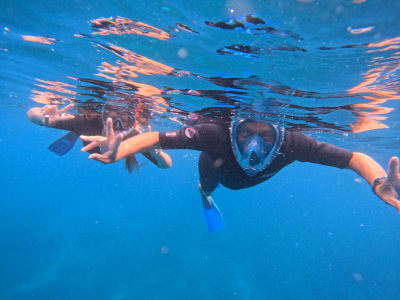 Excursión de Snorkel en Les Anses-d'Arlet, Martinica