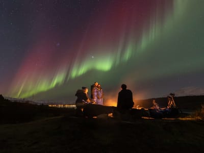 Northern Lights Excursion by Bus from Tromso, Norway