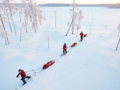 Overnight Ski Touring Excursion in Pyhä-Luosto National Park from Pyhä