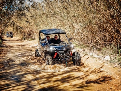 Excursión guiada en Buggy desde Benidorm, Alicante