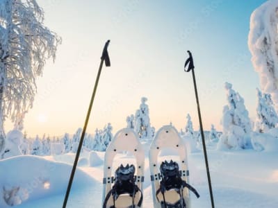 Snowshoeing Excursion from Rovaniemi