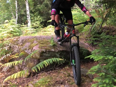 Descente VTT enduro dans le massif des Vosges, Alsace