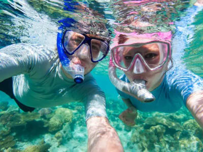 Guided full day tour of Oahu, departing from Waikiki